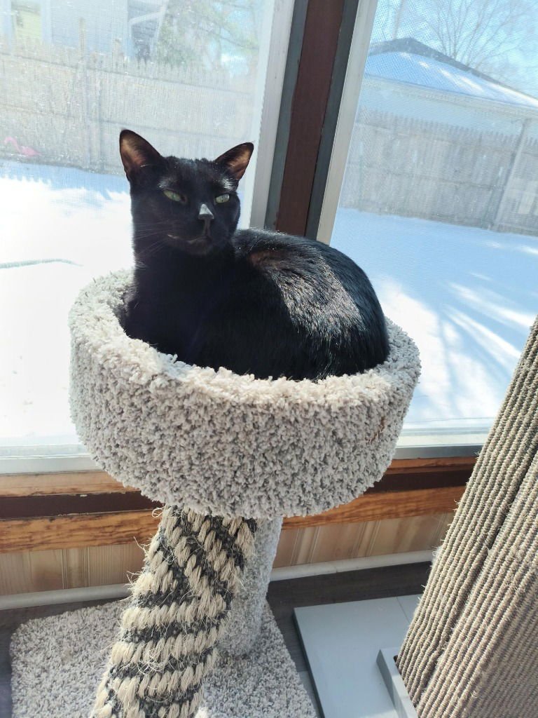 Firefly-No longer accepting apps - Photo 4