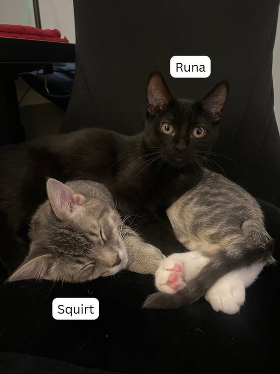 Squirt / Runa Image