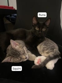 Squirt / Runa - Photo 1