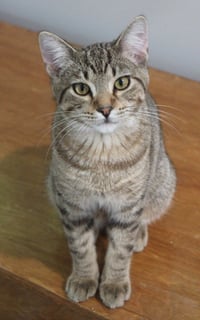 Roald - Photo 4