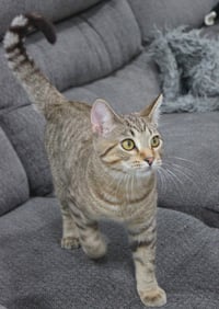 Roald - Photo 3