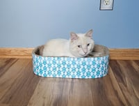 Tucker - Photo 4