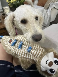 Pearl - Photo 2