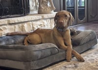 Samantha AKA Penny - Photo 1