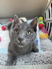 Mimi - Photo 2