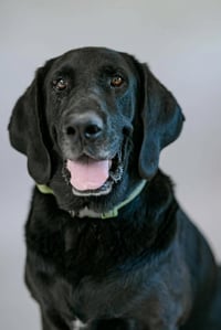 Benni - Photo 5