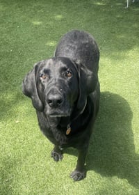 Benni - Photo 1