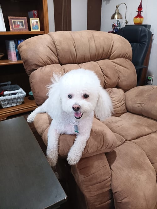 HARLAN