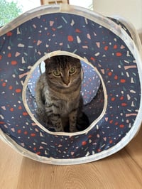 Cleo - Photo 2