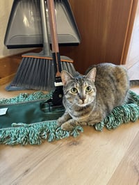 Cleo - Photo 3