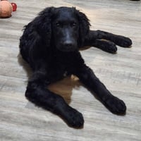 Addie - Photo 3