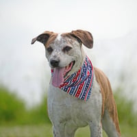 Parker (Peter Parker) - Photo 17