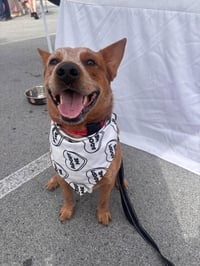 Meatball - Photo 9