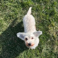 Keia, nka Callie - Photo 3