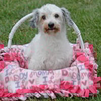 Keia, nka Callie - Photo 4