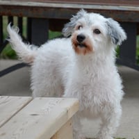 Keia, nka Callie - Photo 6