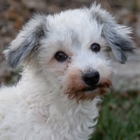 Keia, nka Callie - Photo 7