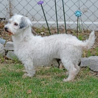 Keia, nka Callie - Photo 8