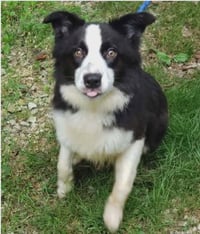 Shelly - Photo 3