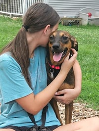 Mabel - Photo 2