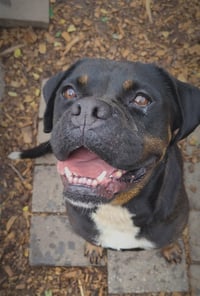 Wiggles - Photo 6