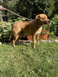 Sasha - Photo 9