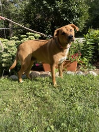 Sasha - Photo 8