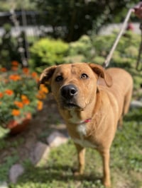 Sasha - Photo 7