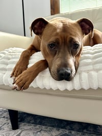 Gigi - Photo 3
