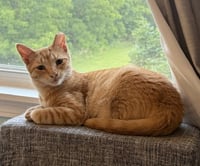 Floki - Photo 1