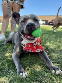 Lola - Photo 1
