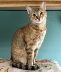 Maruska - Photo 1