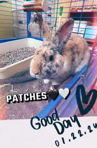 Patches - Photo 4