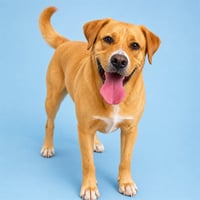 BOOKER - Photo 1
