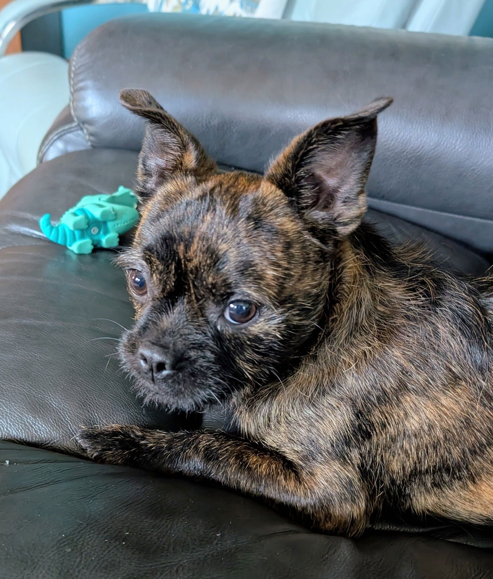 Louis Vuitton - Photo 3