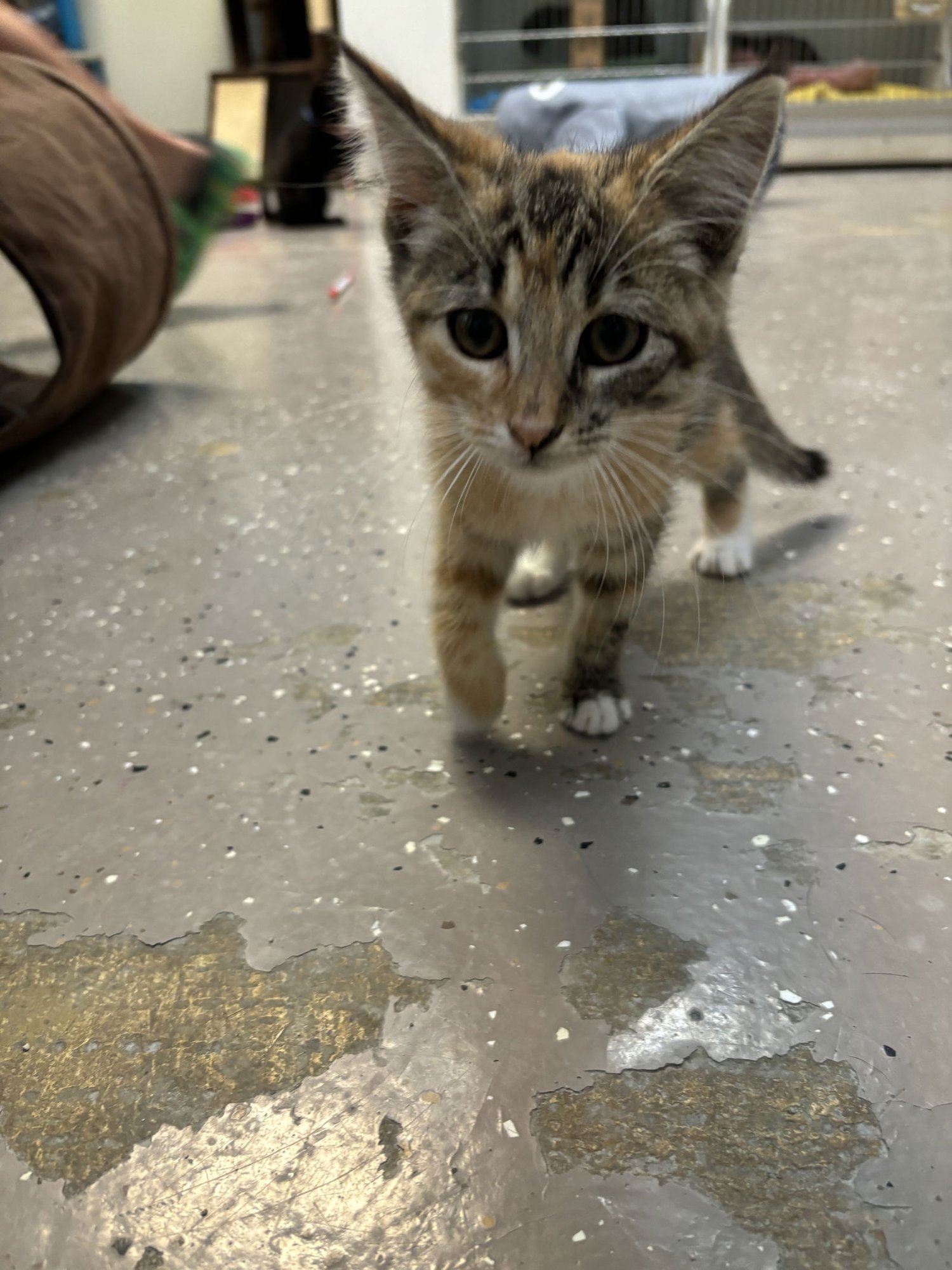 Paige Matthews  - Must Apply in Person - Photo 4