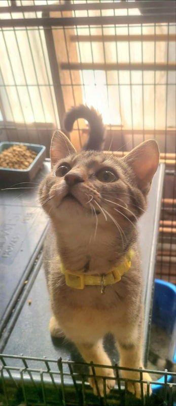 Pearl (FSG) - Photo 3