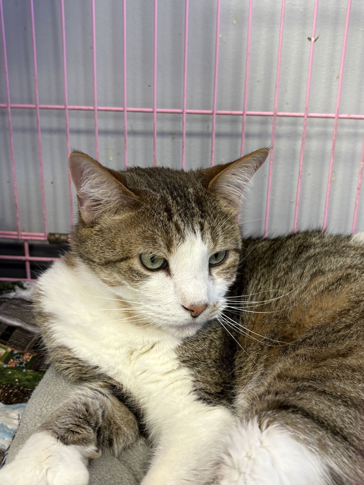 Xander - Must Apply in Person ! - Photo 3