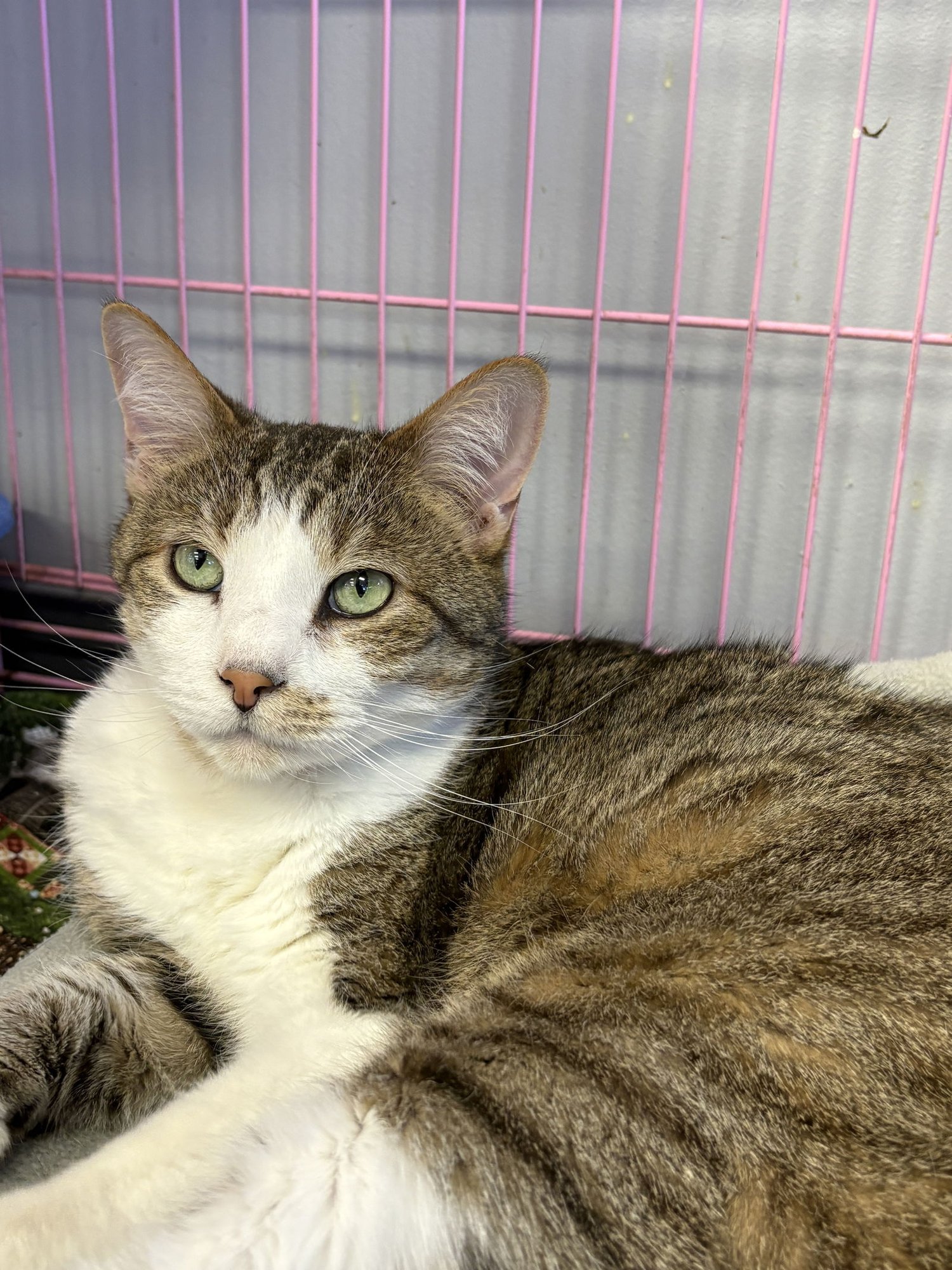 Xander - Must Apply in Person ! - Photo 4