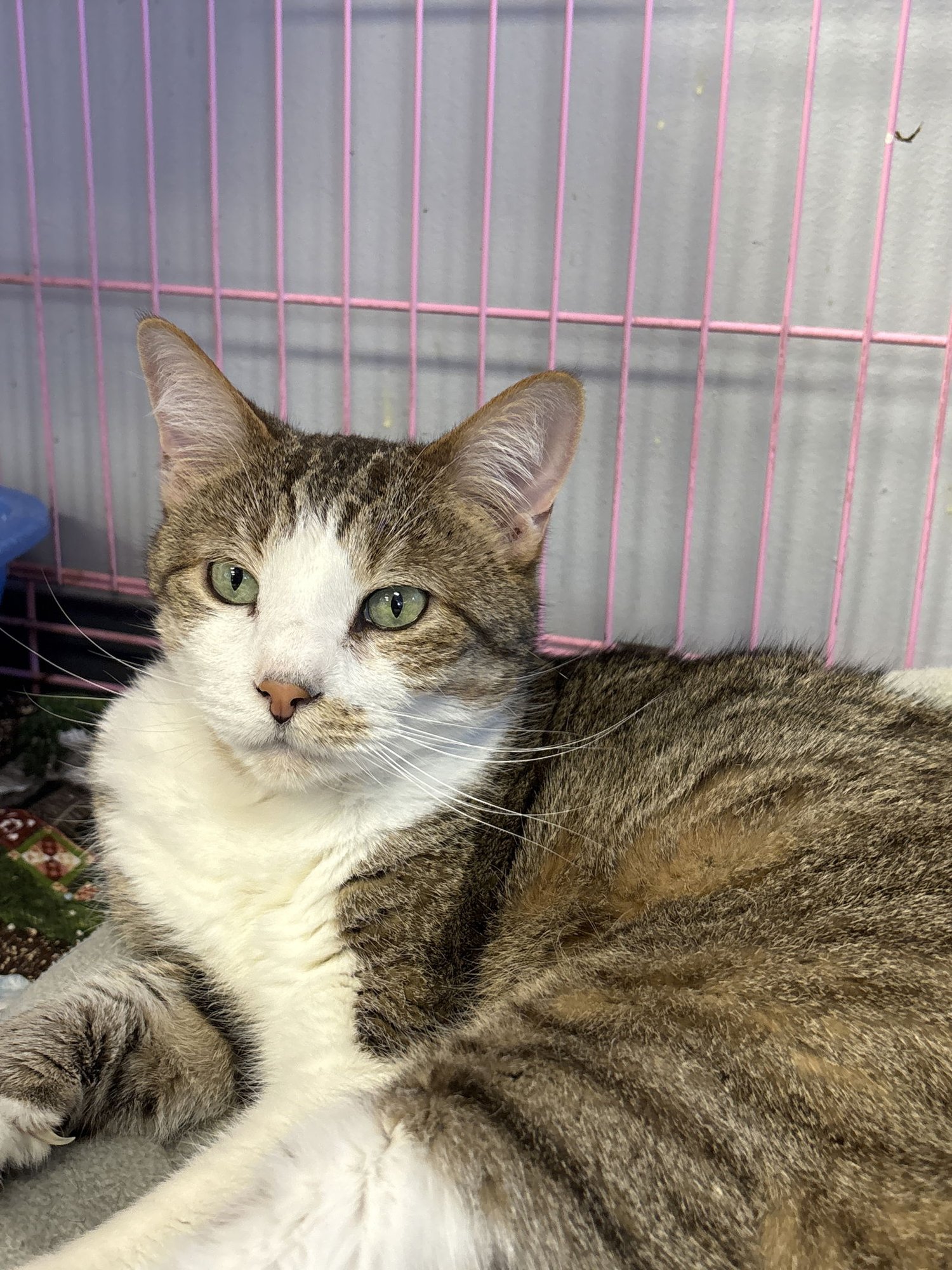 Xander - Must Apply in Person ! - Photo 5