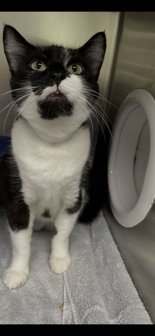 MARTHA  - MUST APPLY IN PERSON !
