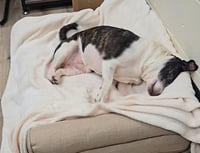 Mia - Photo 3