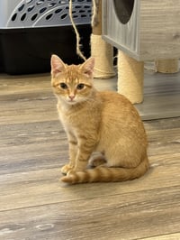 Colby - Photo 1