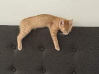Colby - Photo 2