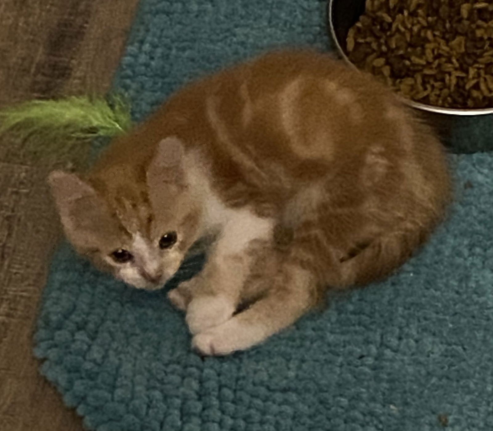 Bobby Ewing - Photo 4