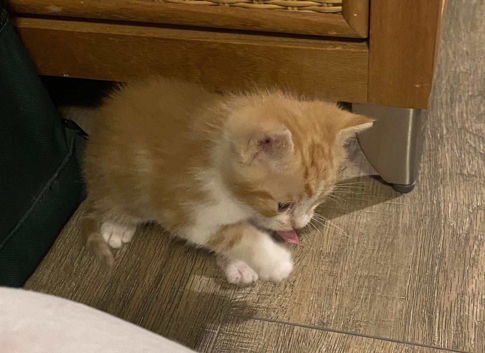 Bobby Ewing - Photo 5