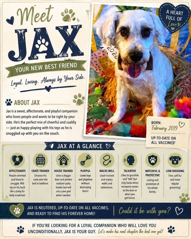 Jax Image