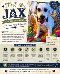 Jax - Photo 1