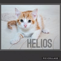 Helios - Photo 1
