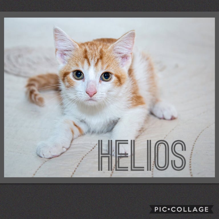 Helios Image